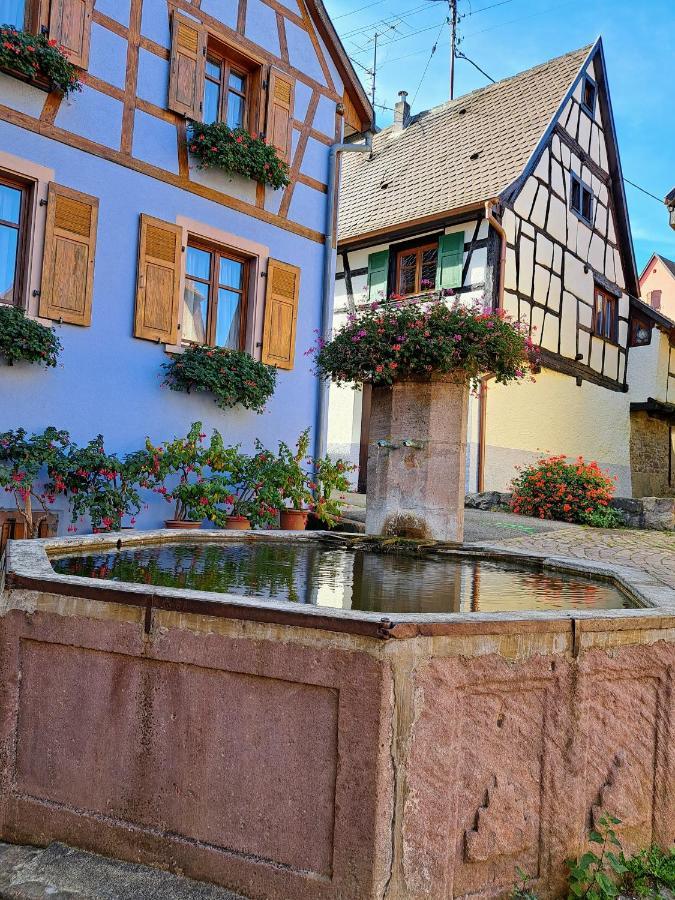 Gite Entre Vignes Et Vergers Maison Historique Gueberschwihr Dış mekan fotoğraf